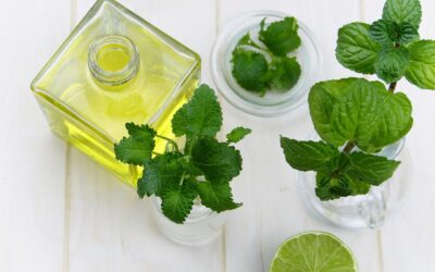 Les bienfaits de l’huile essentielle de menthe poivrée pour soulager les maux de tête