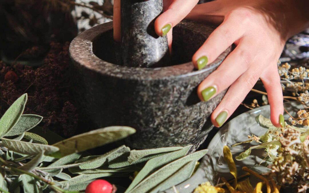 Phytothérapie et soins de la peau : une approche holistique