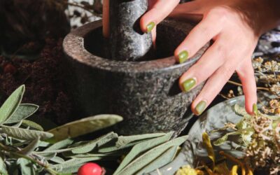 Phytothérapie et soins de la peau : une approche holistique