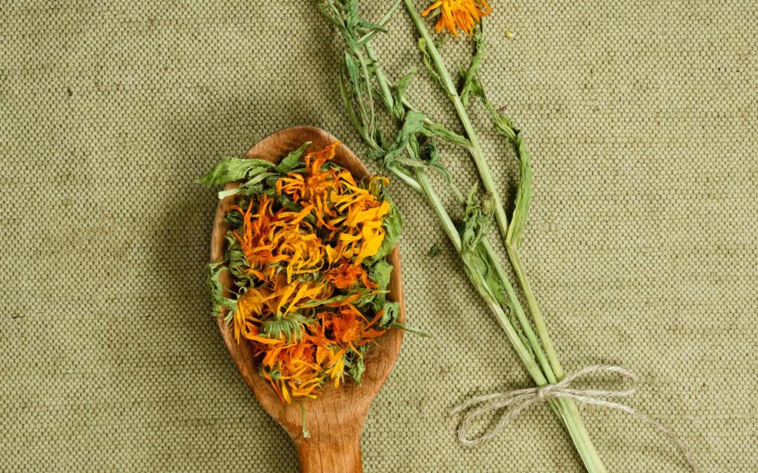 Utilisation des plantes médicinales dans les produits de soin