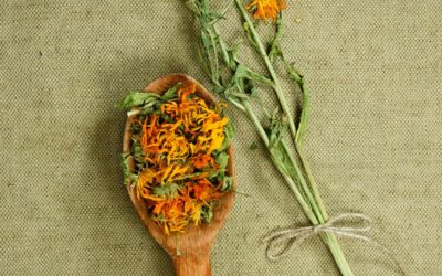 Utilisation des plantes médicinales dans les produits de soin