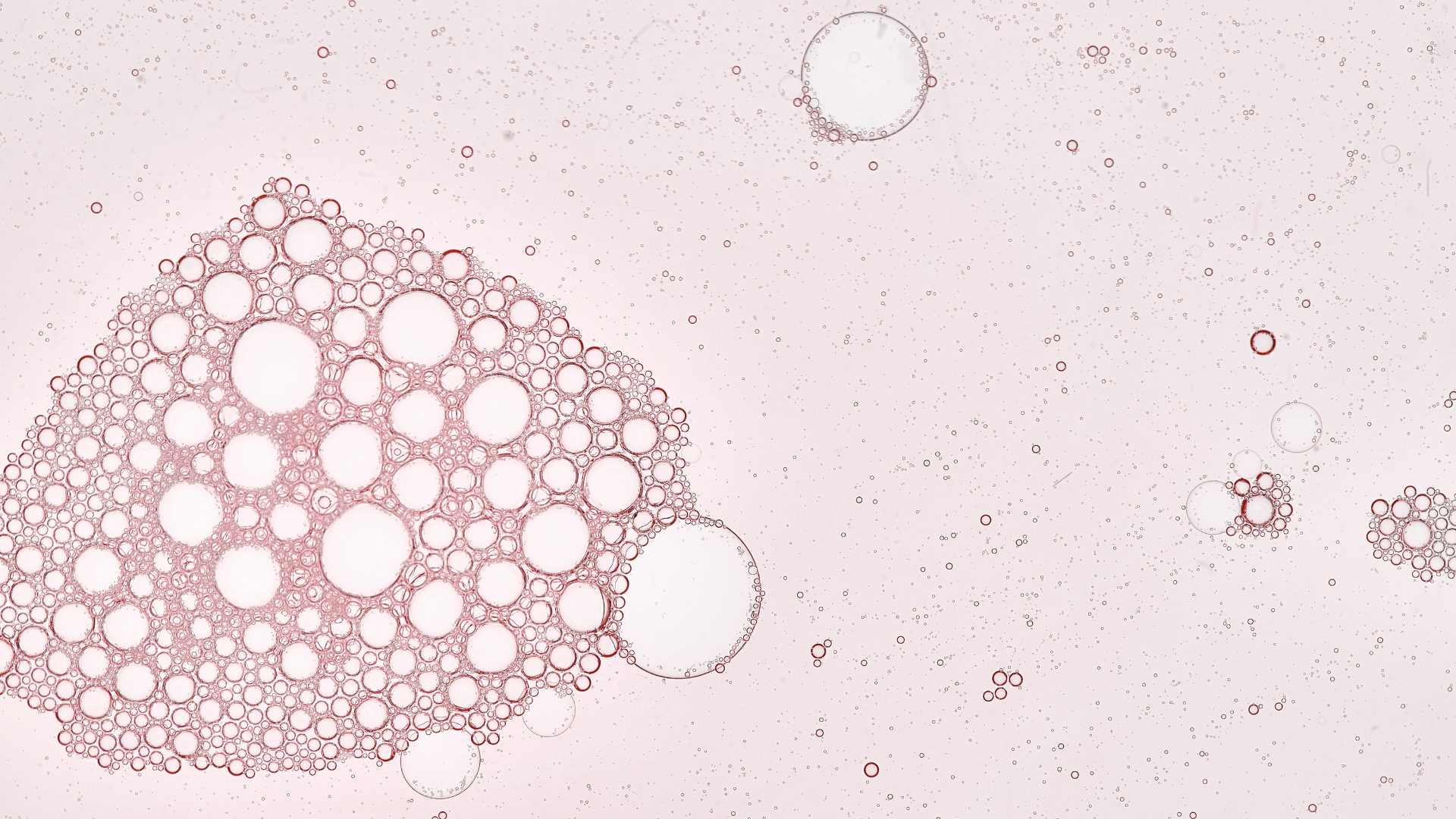Sérum rose vue de près 