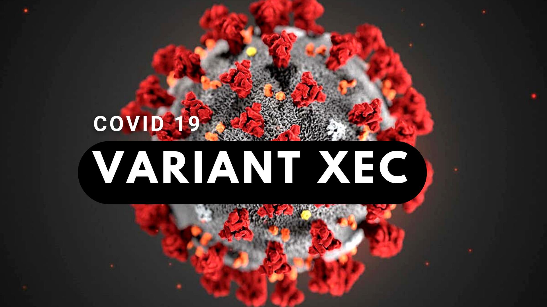 covid-19 variant xec